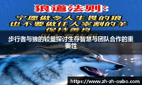 步行者与狼的较量探讨生存智慧与团队合作的重要性